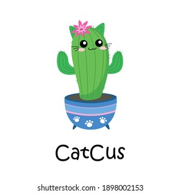 Drawing Cute Cat Cactus On White