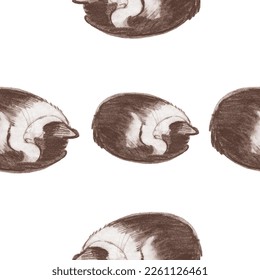 Drawing of a cute cat. Realistic image of an animal. Seamless vector cute pattern with pet. Print for nursery
