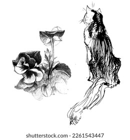 Drawing of a cute cat. Realistic image of an animal.  Print for nursery
