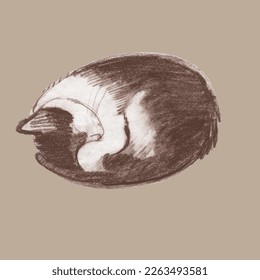 Drawing of a cute cat. Realistic image of an animal. Vector cute pattern with pet. Print for nursery
