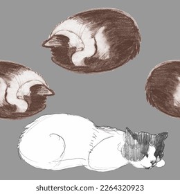 Dibujo de un lindo gato. Imagen realista de un animal. Patrón lindo vectorial sin brillo con mascota. Imprimir para guardería
