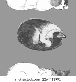 Dibujo de un lindo gato. Imagen realista de un animal. Patrón lindo vectorial sin brillo con mascota. Imprimir para guardería
