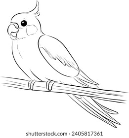 drawing of a cute cockatiel