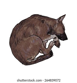 Drawing of cute dog sleeping 