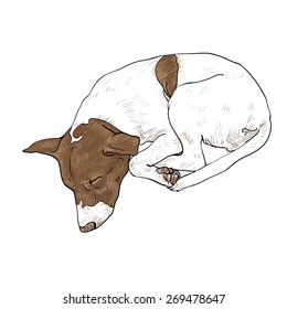 Drawing of cute dog sleeping 