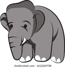 drawing of a cute elephant in gray. vector illustration