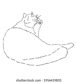 Drawing of a cute lying cat licking its paw. Black and white illustration of an animal. Realistic image of an animal. Stock vector illustration. Linear style. Fluffy animal