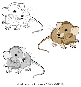 drawing of a cute mouse in three colors black and white, gray, brown