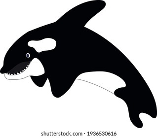 Drawing of a cute Orca whale