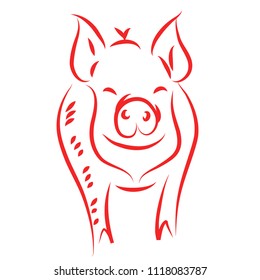 drawing of a cute pig Chinese New Year red vector illustration.