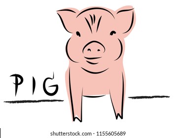 drawing of cute pig vector illustration simple concept zodiac of pig.