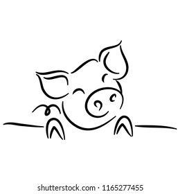 drawing of cute pig vector illustration simple concept zodiac of pig.