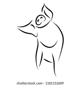 drawing of cute pig vector illustration simple concept zodiac of pig.