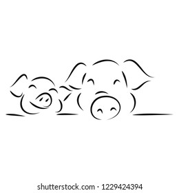 drawing of cute pig vector illustration simple concept zodiac of pig.