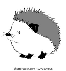 drawing cute plump hedgehog