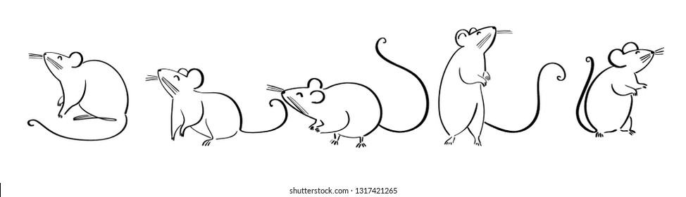 How To Draw A Simple Rat Step By Step