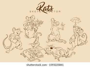 Drawing of cute rat vector illustration simple concept zodiac of rat. 2020 Chinese. Funny mouse family, symbol of 2020 year. Banner for your design.