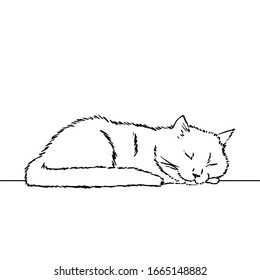 Drawing cute sleeping cat  resting its head its paw  Black   white illustration an animal  Realistic image an animal  Vector isolated illustration character  Line art drawing