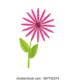drawing daisy flowers bunch flora vector illustration eps 10
