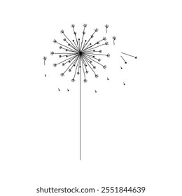 Drawing of a dandelion that is planting seeds. Vector illustration.
