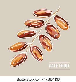 Drawing Date Fruit. Arabic Plant.