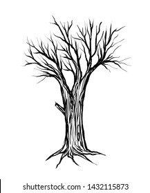 Drawing dead tree, vector illustration