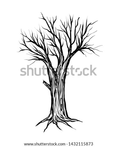 Drawing dead tree, vector illustration