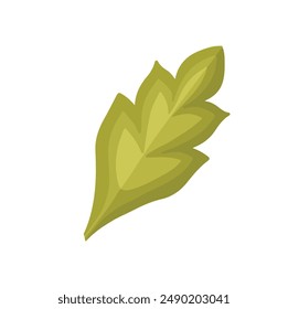 Dibujo decoración decorativa hierba vegetal de hoja verde, Ilustración vectorial