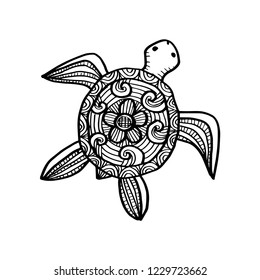 Drawing decorative turtle