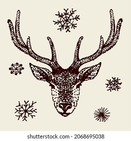 Drawing of a deer head and snowflakes by hand	
