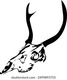Drawing of a deer skull with antlers 