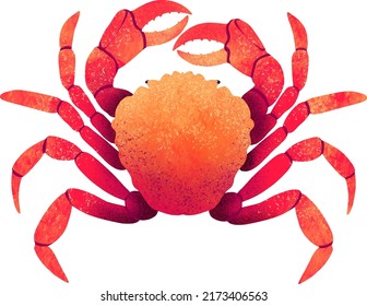 drawing digital crab live red design trends with gradients