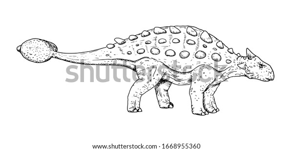 恐竜の図 アンキロサウルスの手描きのスケッチ 白黒のイラスト のベクター画像素材 ロイヤリティフリー Shutterstock
