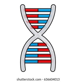 Drawing Dna Molecule Chromosome Biology Genetic Stock Vector (Royalty ...