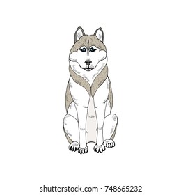 Drawing dog breed husky (beige, brown) on a white background. Drawn with ink. To design creative works.