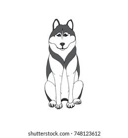 Drawing dog breed husky on a white background. Drawn with ink. To design creative works.