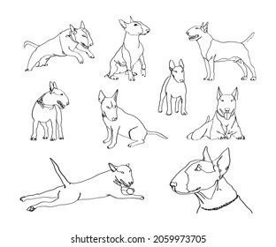 Drawing of a dog by a line on a white background. Bull terrier drawing by line. Silhouettes of dogs in different poses.