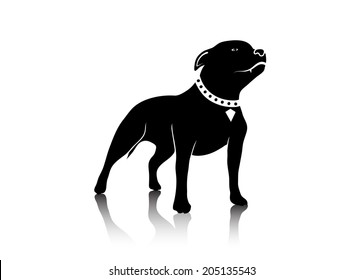 drawing of a dog of fighting breed