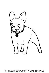 drawing of a dog of fighting breed