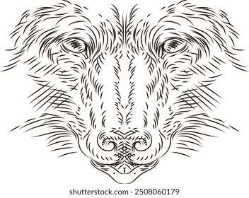 Drawing of dog muzzle very close.	
