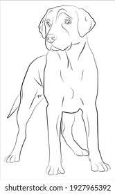 Zeichnung eines Hundes auf weißem Hintergrund. С Seiten langweilig. Tiere.