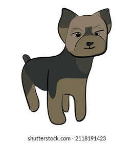 drawing of a dog. terrier, small dog. pet, Pekingese. spitz. pinscher