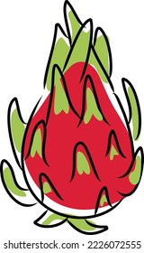 Dibujar fruta del dragón en un estilo dibujado a mano