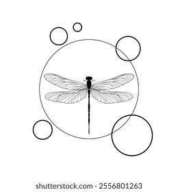 drawing of a dragonfly with circles. Line art dragonfly vector illustration. 