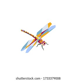 drawing of dragonfly style pop art color