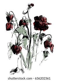 A drawing of dried roses