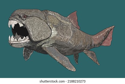 Drawing dunkcleosteus.predator, giant, art.illustration, vector