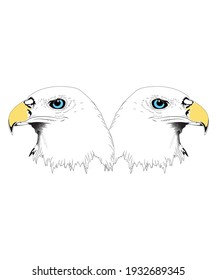 Drawing of eagles for icon or other design work