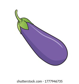 drawing of an eggplant vector illustration for children's education,Solanum melongena view