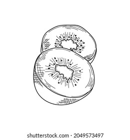 Drawing, engraving, ink, line art, vector illustration kiwi organic fruit sketch in silhouette on a white background.